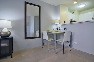 445 N Peshtigo Ct in Chicago, IL - Building Photo - Building Photo