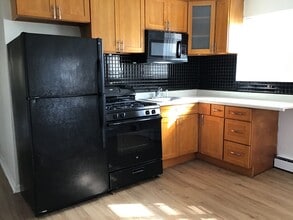 712 S Carpenter St, Unit 3 in Chicago, IL - Building Photo - Building Photo