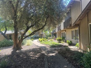 8609 La Riviera Dr in Sacramento, CA - Building Photo - Building Photo