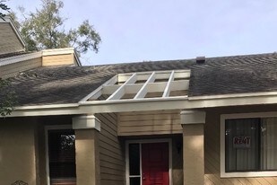 8559 Pomelo Tree Ln in Orlando, FL - Building Photo