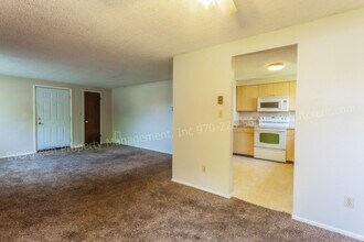 915-917 Camelot Ct in Fort Collins, CO - Building Photo - Building Photo