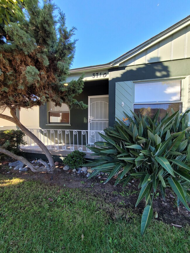 3710 Ingraham St Rentals in San Diego, CA