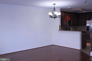 42525 Highgate Terrace in Ashburn, VA - Building Photo