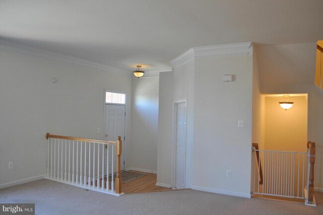 25249 Bald Eagle Terrace in South Riding, VA - Building Photo - Building Photo