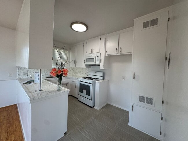 11320 Tiara St in North Hollywood, CA - Foto de edificio - Building Photo