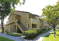 Amberwood Apartments in San Jose, CA - Building Photo - Building Photo