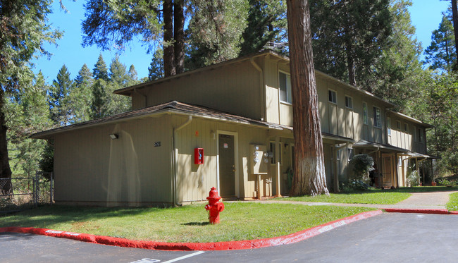 Foresthill Apartments in Foresthill, CA - Building Photo - Building Photo