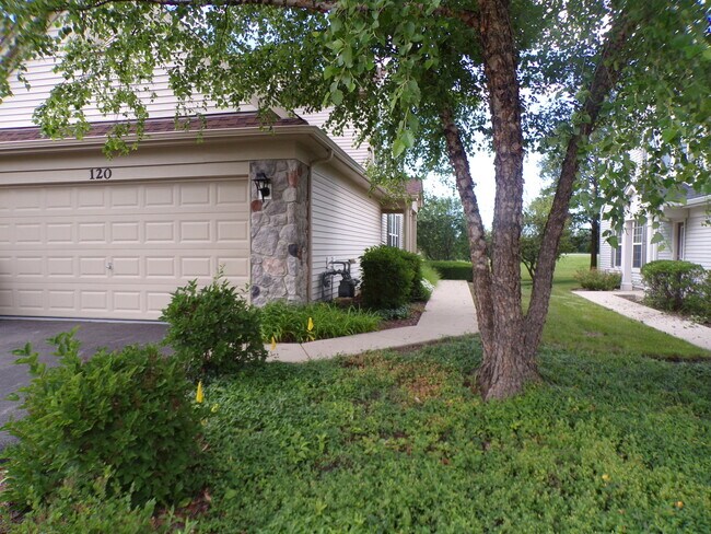 120 W Buckingham Dr in Round Lake, IL - Building Photo - Building Photo
