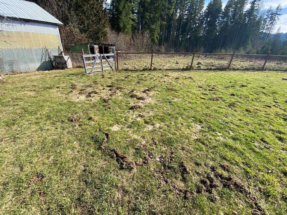1422 Old State Rd in Carson, WA - Building Photo