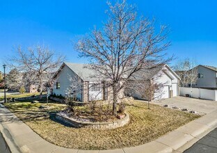 1544 Lakewood Dr in Windsor, CO - Building Photo - Building Photo