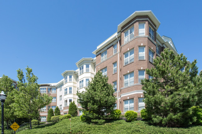 Alterra at Overlook Ridge in Revere, MA - Building Photo - Building Photo