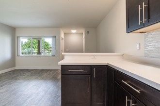 Cynthia Gardens Apartments in Boca Raton, FL - Building Photo - Building Photo