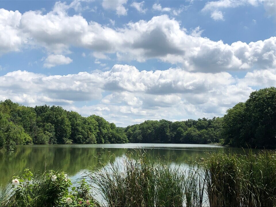 2479 E 124th St, Unit 124th Street in Cleveland, OH - Building Photo