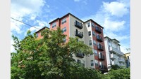 Terrace View in Seattle, WA - Building Photo - Building Photo