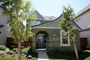239 W Santa Cruz Way in Mountain House, CA - Building Photo