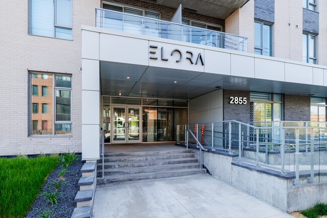 Elora MTL