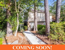 337 Pine Cliff Ct in Columbia, SC - Building Photo