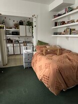 723 Lawrence St - Utilities Included in Ann Arbor, MI - Building Photo