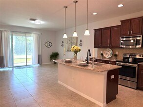 10415 Butterfly Wing Ct in Riverview, FL - Building Photo - Building Photo