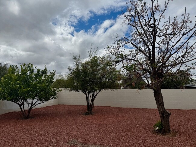 4634 E Burns St in Tucson, AZ - Foto de edificio - Building Photo