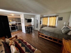 113 Loretta Ct, Unit Unit 1 in Ouray, CO - Building Photo - Building Photo