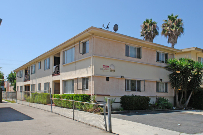 3725 Midvale Ave in Los Angeles, CA - Building Photo - Building Photo