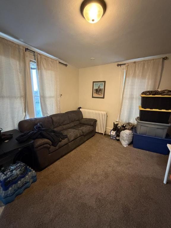 1028 Banks Ave in Superior, WI - Building Photo - Building Photo