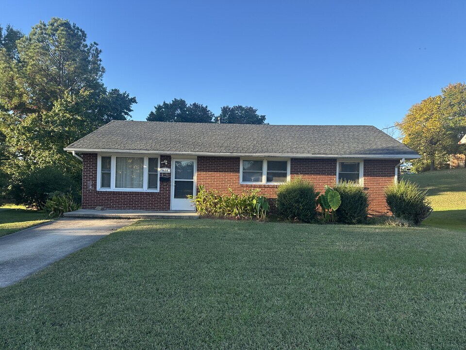 626 Doe St in Danville, VA - Building Photo