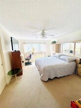 2471 Sumatran Way in Clearwater, FL - Building Photo - Building Photo