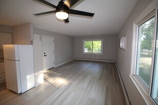 630 W 1st St, Unit 4 in Chaska, MN - Building Photo