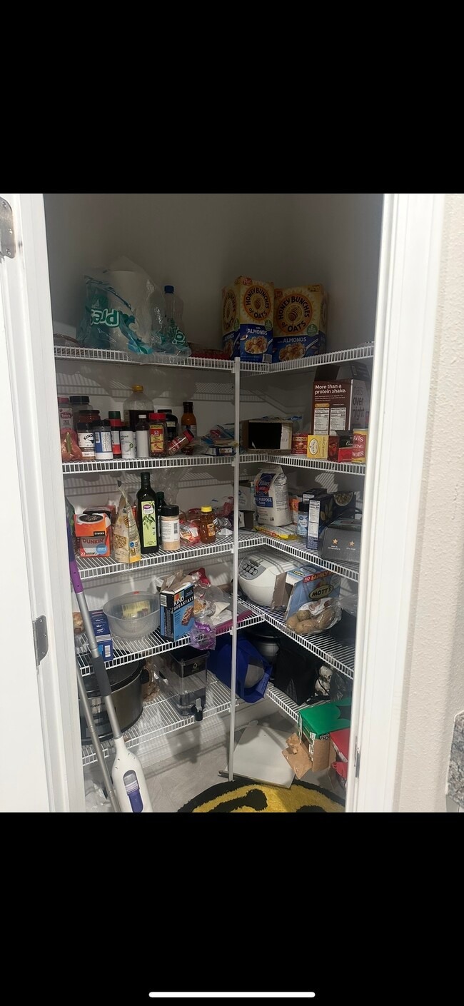 16504 Delia St in Wimauma, FL - Building Photo - Building Photo