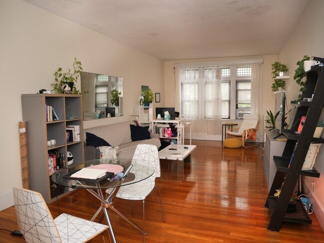 223 Saint Paul St, Unit 1 in Brookline, MA - Building Photo - Building Photo
