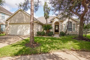 20810 Figurine Ct in Katy, TX - Building Photo