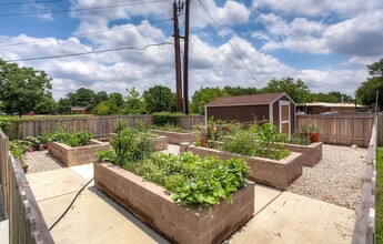 Silver Gardens 62+ Apartments in Dallas, TX - Building Photo - Building Photo