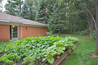 Pine Shadow Apartments in Nisswa, MN - Building Photo - Building Photo