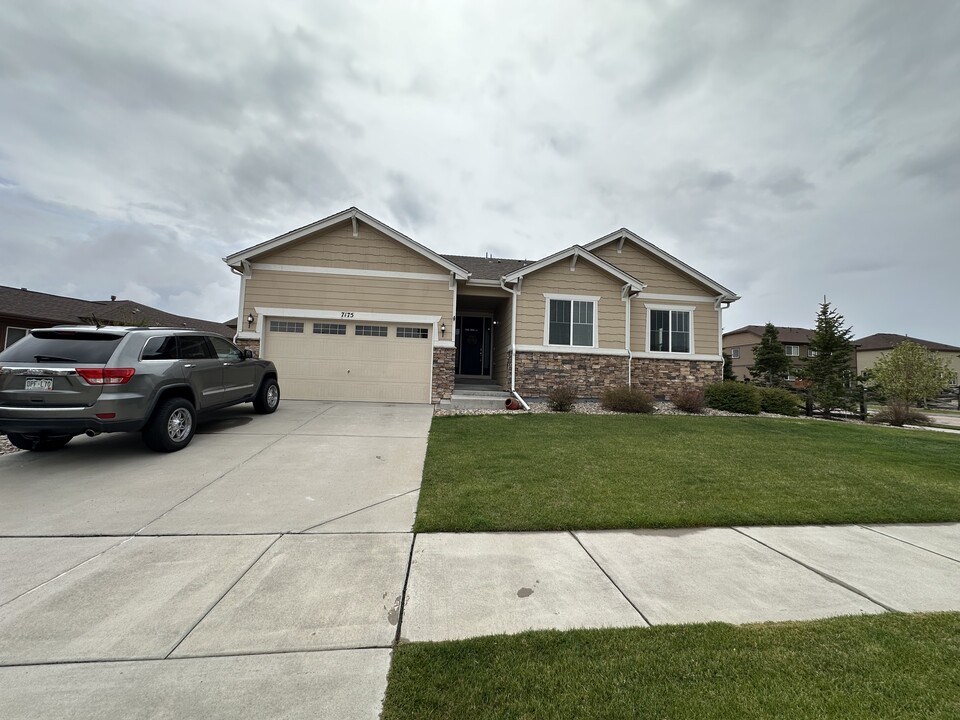 7175 Mountain Spruce Dr in Colorado Springs, CO - Building Photo