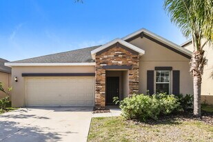 12225 Ballentrae Forest Dr in Riverview, FL - Building Photo