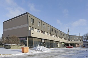 48 Queen St E in Cambridge, ON - Building Photo