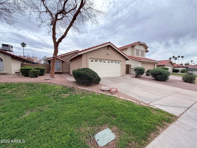 2307 W Gail Dr in Chandler, AZ - Building Photo - Building Photo