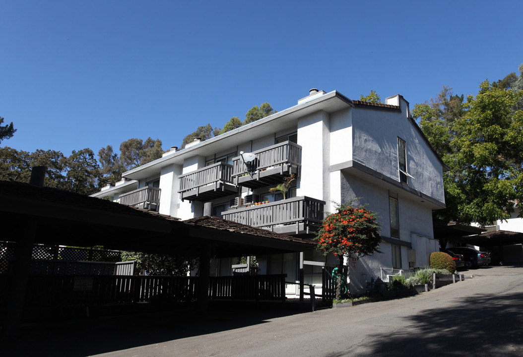 Acalanes Apartments in Lafayette, CA - Building Photo