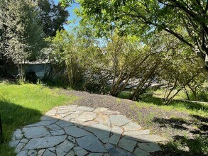 Newly Renovated 1 bed 1 bath in Kensington, CA - Foto de edificio - Building Photo