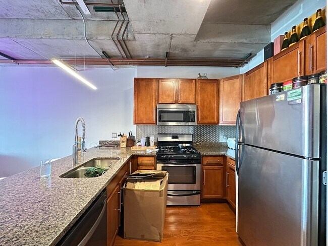 1610 W Fullerton Ave in Chicago, IL - Building Photo - Building Photo