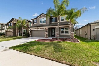 11433 Alachua Creek Ln in Riverview, FL - Building Photo - Building Photo