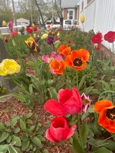 229 Essex St, Unit 2 in Saugus, MA - Building Photo - Building Photo