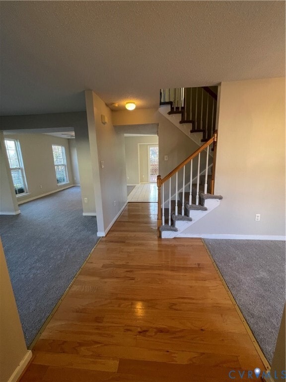 7806 Fern Hollow Dr in Chesterfield, VA - Building Photo - Building Photo