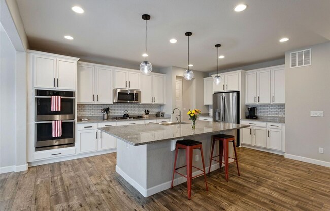 3702 White Rose Lp in Castle Rock, CO - Building Photo - Building Photo