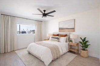 The Camellia Apartments in North Hollywood, CA - Building Photo - Building Photo