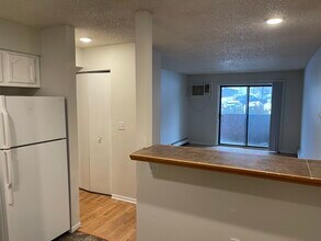 13 E Burlington St in Iowa City, IA - Building Photo - Building Photo