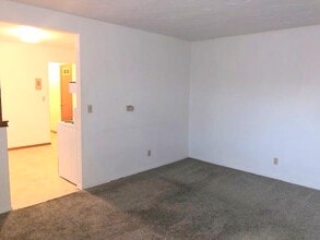 311 N Main St in Caseyville, IL - Building Photo - Building Photo