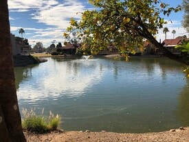 678 Leisure World in Mesa, AZ - Building Photo